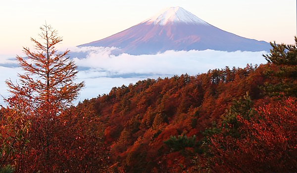Khám phá vẻ đẹp làm say đắm lòng người của núi Phú Sĩ vào mùa thu