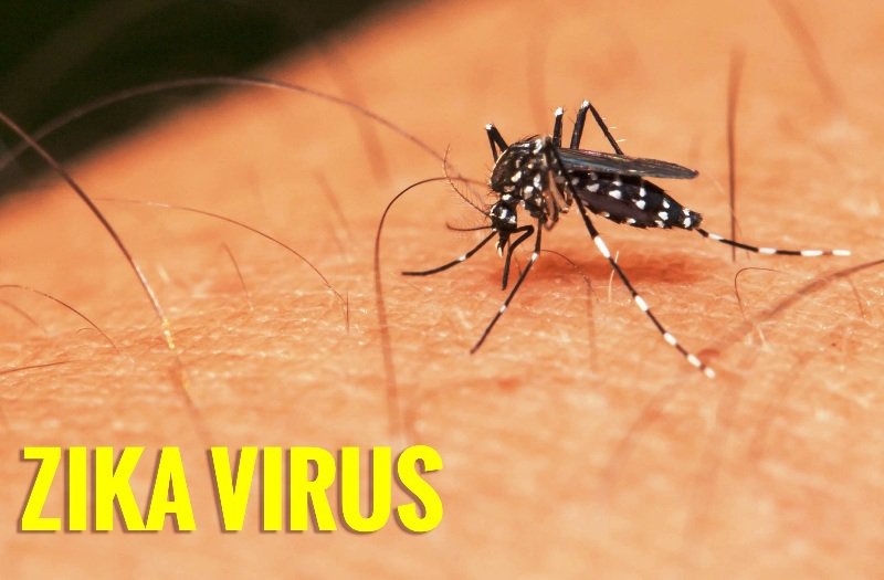Hậu quả của nhiễm virus Zika